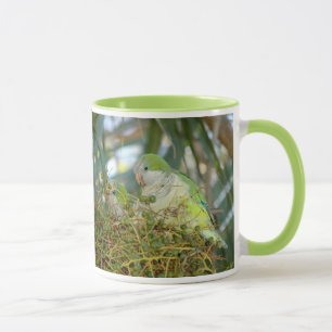 Le quaker sauvage parrots la tasse