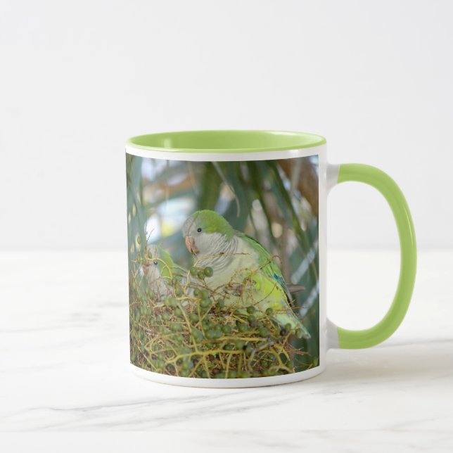 Le quaker sauvage parrots la tasse (Droite)