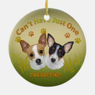 Le Rat terrier ne peut pas avoir juste un ornement