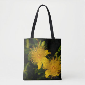 Le rayon de soleil fleurit le sac fourre-tout