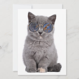 Le regard galactique Le Kitty Stellar dans les lun