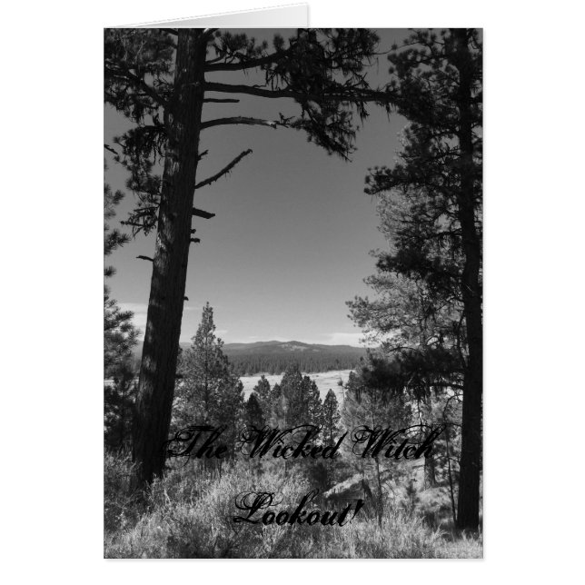 Le regard méchant sur la sorcière (Devant)