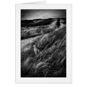 Le Rendez-Vous d'Alice Wonderland