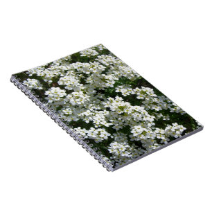 Le ressort assez blanc fleurit le carnet de notes