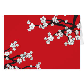 Le ressort blanc de Sakura de fleurs de cerisier