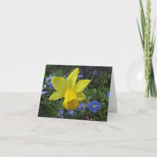 Le ressort colore la carte de note