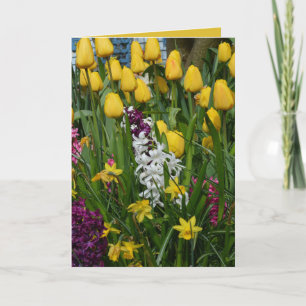 Le ressort fleurit la carte de voeux