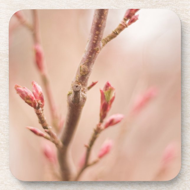 Le ressort rêve des dessous de verre de liège (Devant)