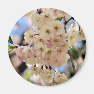 Le ressort rose se développe aimant de fleur