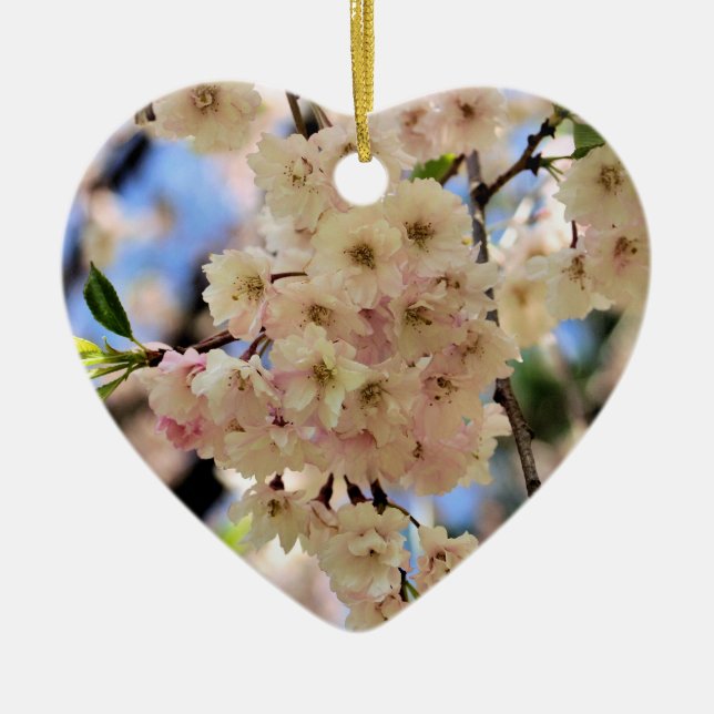 Le ressort sensible se développe ornement de fleur (Devant)