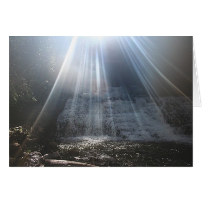 LE RETOUR. (Devant horizontal)