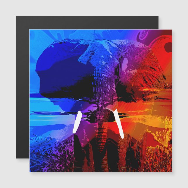 Le rêve des éléphants (Devant / Derrière)