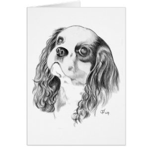 Le Roi cavalier Charles Drawing