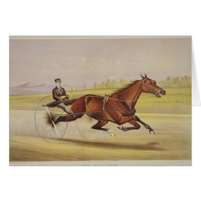 Le roi du gazon, "St Julien", conduit par Orri (Devant horizontal)