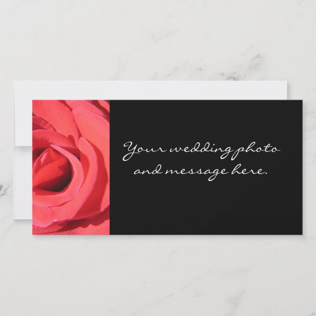 Le Rose par Kathryn Trembach Photographie (Devant)