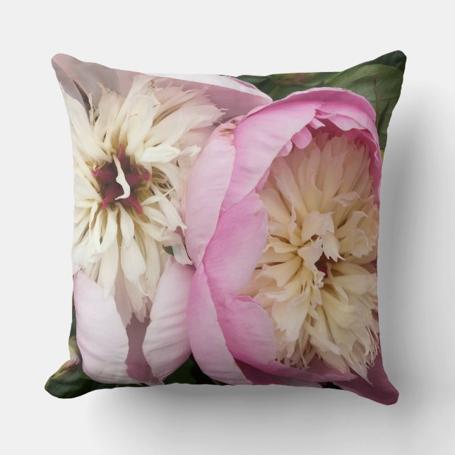 Le rose rougissent coussin de pivoines (Recto)