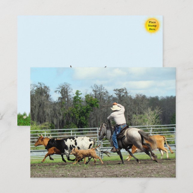 Le Roundup - Carte postale Cowboy (Devant / Derrière)