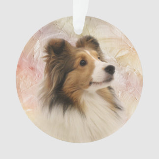 Le sable Sheltie font face
