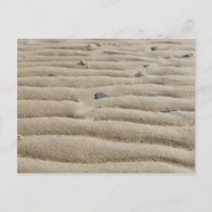 Le sable sur la carte postale de la mer du Nord