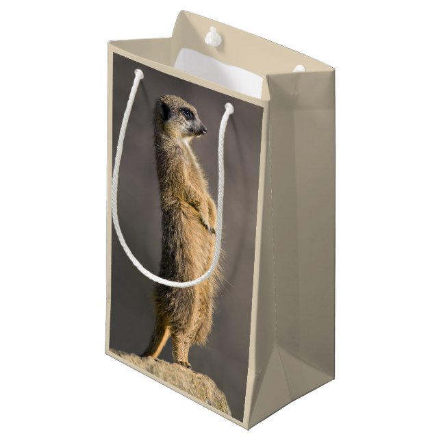 Le sac de cadeau de sentinelle (Devant Angle)