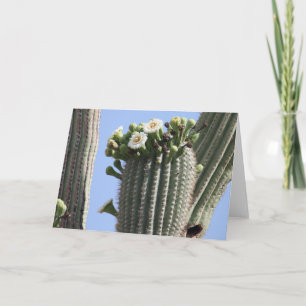 Le Saguaro fleurit carte de voeux