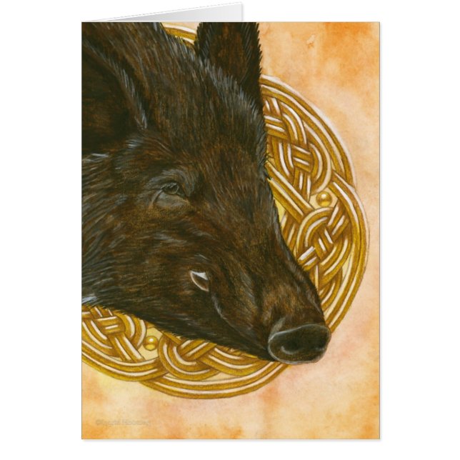 Le sanglier (Devant)