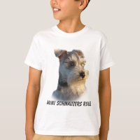 Le Schnauzer miniature badine le T-shirt