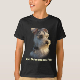 Le Schnauzer miniature badine le T-shirt