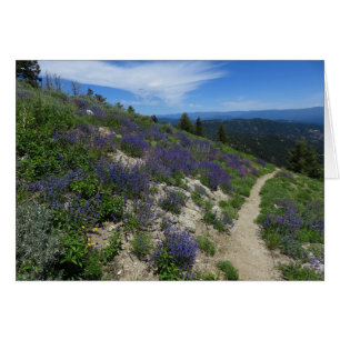Le sentier de la montagne Idaho