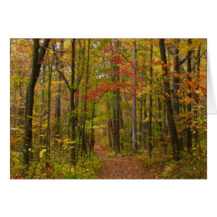 Le sentier Laurel Hill à l'automne