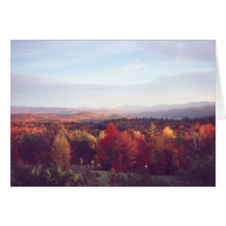 "Le soleil attrape les arbres"