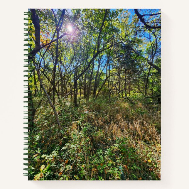 Le Soleil dans le Carnet des arbres sous dominatio (Devant)