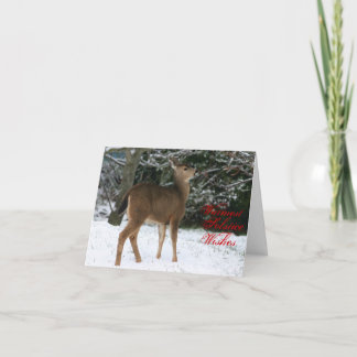 Le solstice le plus chaud souhaite la carte de