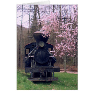 LE SPECIAL de FLEURS DE CERISIER par SHARON SHARPE