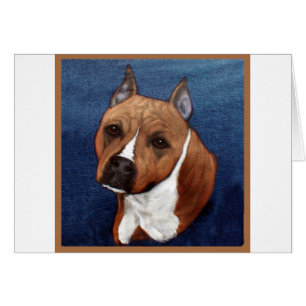 Le Staffordshire Terrier américain