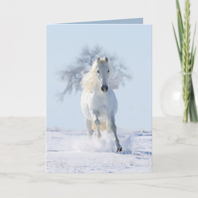 Le Stallion des neiges et la Carte de voeux pour l (Devant)