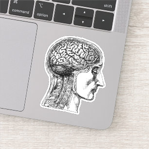Le Sticker Médicale d'illustration du cerveau huma
