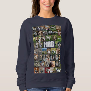 Le Sweatshirt d'affichage des 188 Secours