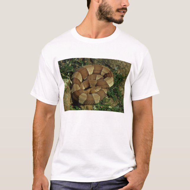 le T-shirt de copperhead des hommes large-réunis (Devant)