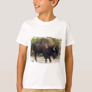 Le T-shirt de l'enfant américain de Buffalo