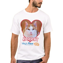 Le T-shirt des hommes