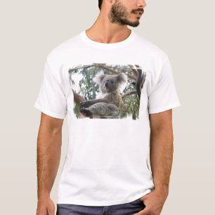 Le T-shirt des hommes de koala