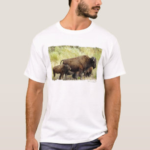 Le T-shirt des hommes errants de Buffalo
