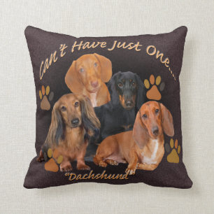 Le teckel ne peut pas avoir juste un coussin