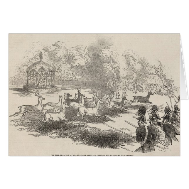 Le tir de cerfs communs chez Gotha (Devant horizontal)