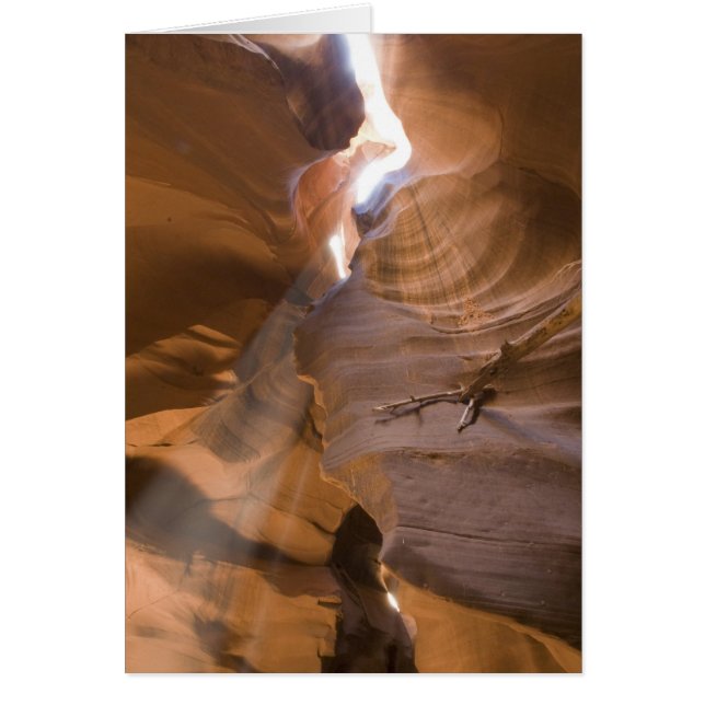 Le Tire-bouchon dans Upper Antelope Canyon, Navajo (Devant)