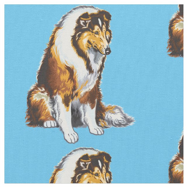 Le tissu de collie rugueux (Fermer)