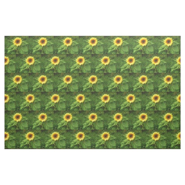 Le tissu de TOURNESOL (Fat Quarter)