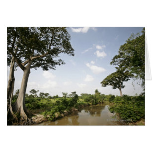 Le Togo central, Afrique de l'ouest