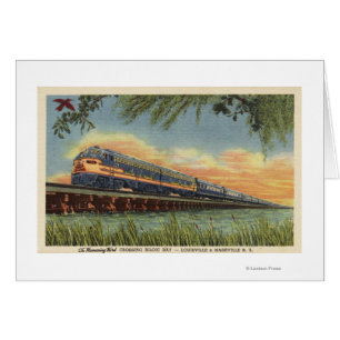 Le train de chemin de fer d'oiseau de ronflement